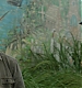 Filename=000154.jpg
Filesize=750KiB
Dimensions=1920x960
Date added=Sep 02, 2025 000154.jpg