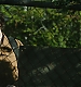Filename=000414.jpg
Filesize=762KiB
Dimensions=1920x960
Date added=Sep 02, 2025 000414.jpg