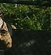 Filename=000416.jpg
Filesize=803KiB
Dimensions=1920x960
Date added=Sep 02, 2025 000416.jpg