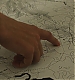 000175.jpg