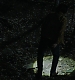 000087.jpg