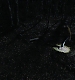 000141.jpg