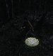000142.jpg