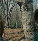 000184.jpg