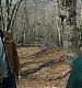 000193.jpg