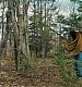 000220.jpg
