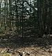000245.jpg