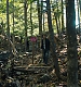 000384.jpg