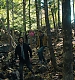 000386.jpg