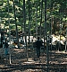 000431.jpg