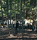 000438.jpg