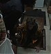 Filename=000314.jpg
Filesize=853KiB
Dimensions=1920x960
Date added=Sep 02, 2025 000314.jpg